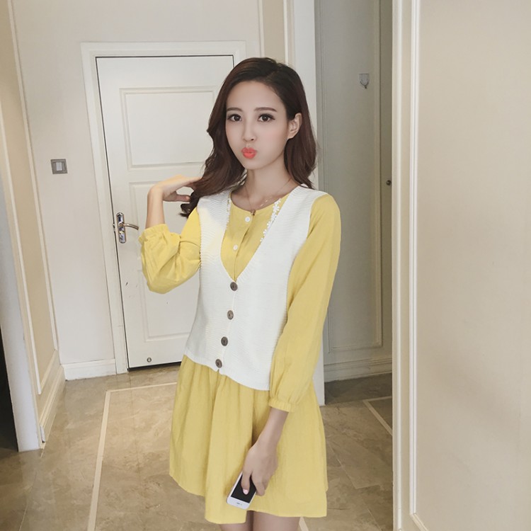 TE1098YHFS Korean fashion autumn dress with knitting vest